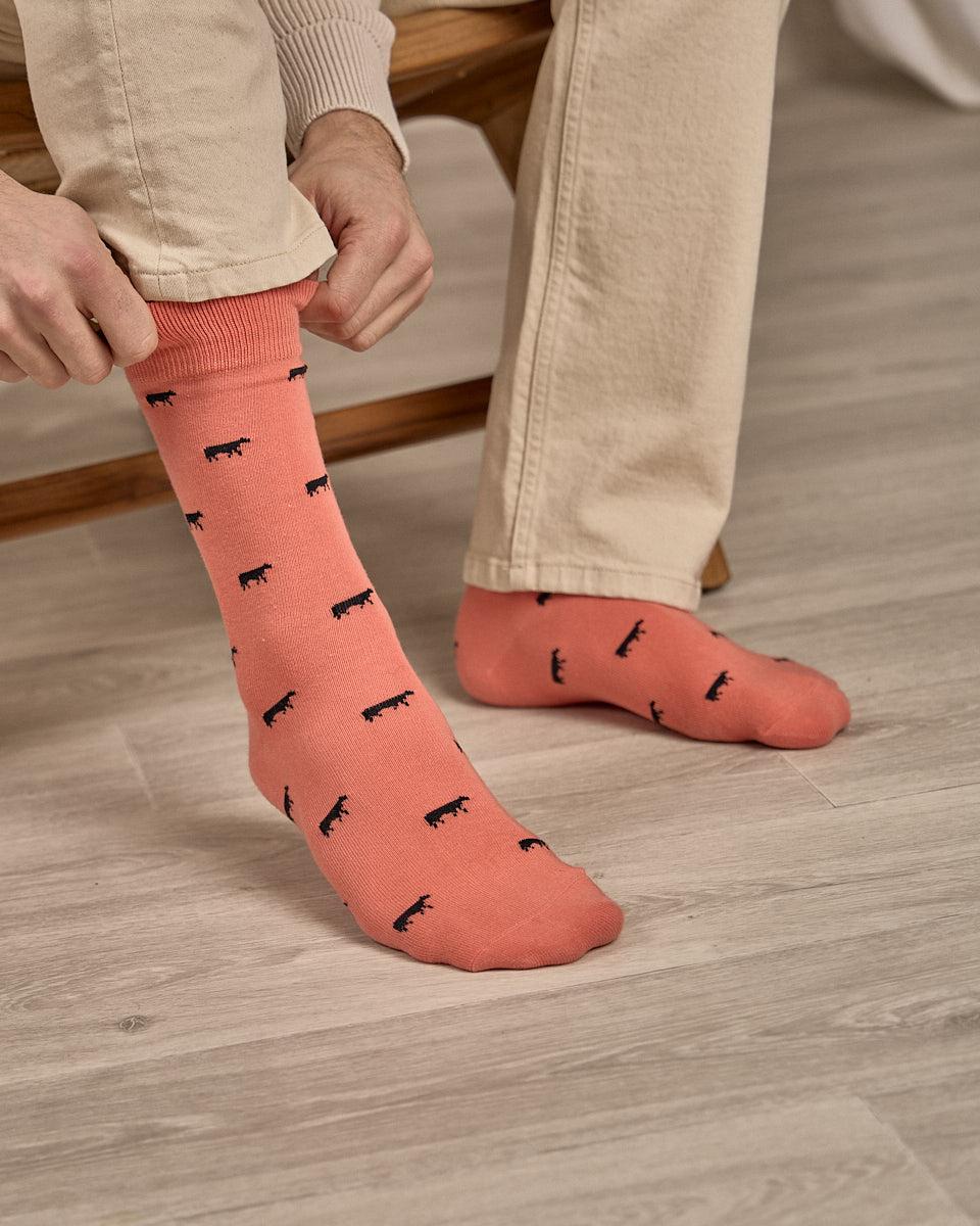 Corail