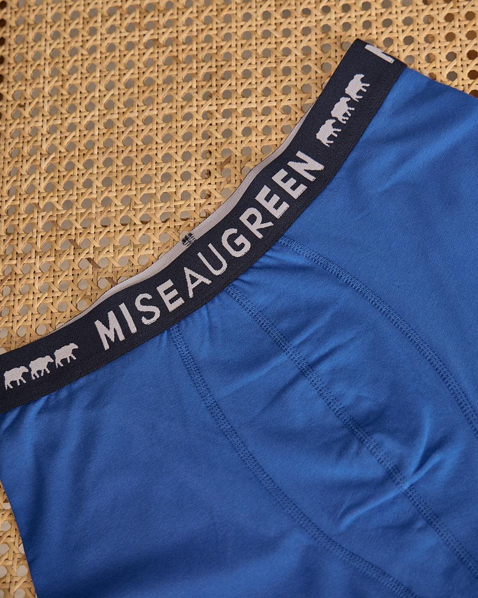 BLEU