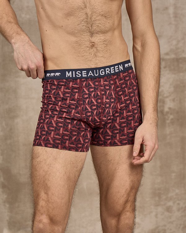 Boxer Adam Boxer Adam
