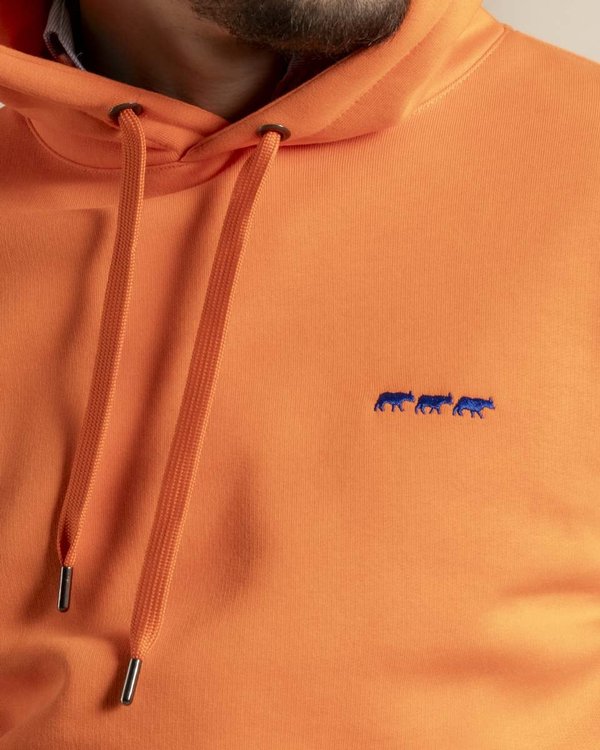Sweat Barry
