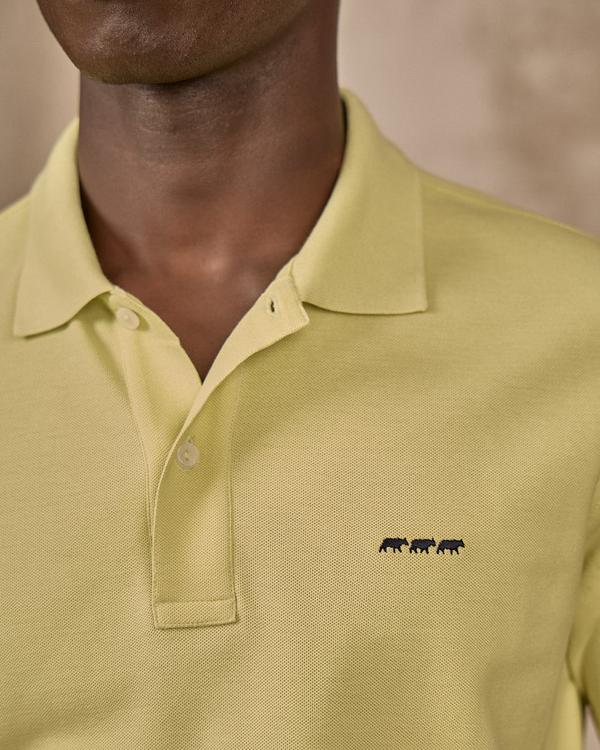 Polo Collin vert