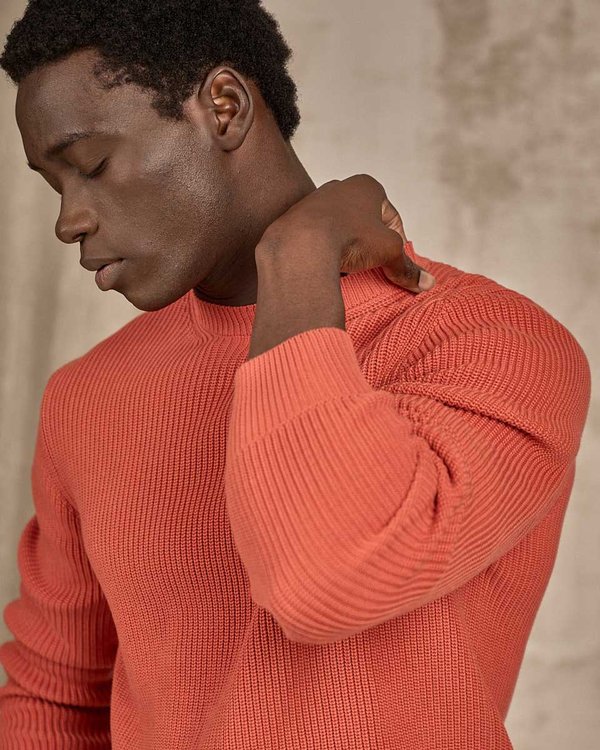 Pull col rond