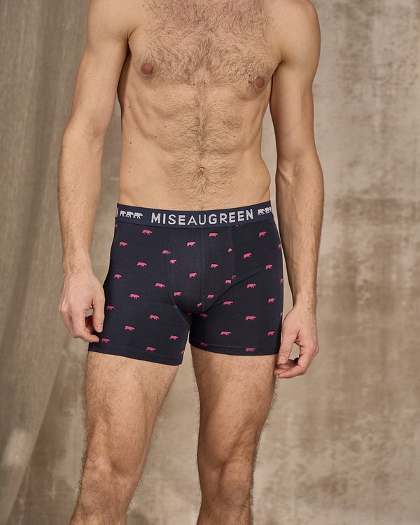 Boxer Adriel rose Boxer Adriel rose