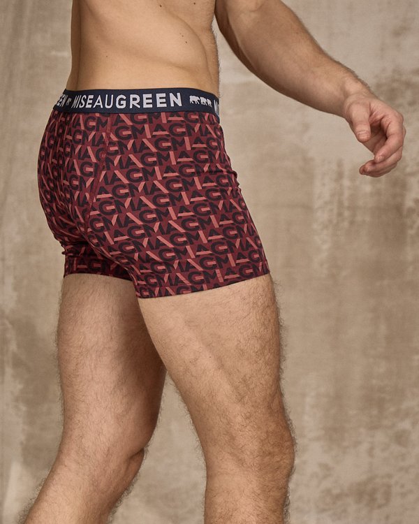 Boxer Adam Boxer Adam