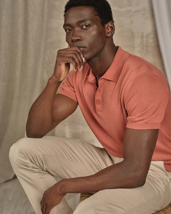 Polo Dayton rose Polo Dayton rose