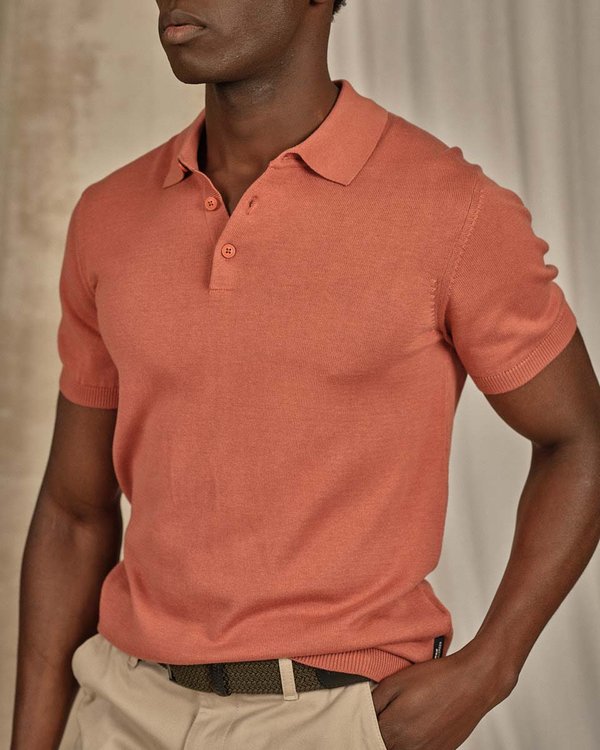 Polo Dayton rose Polo Dayton rose