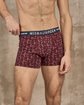Boxer Adam Boxer Adam