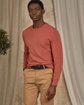 Pull Daniel rose