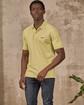 Polo Collin vert