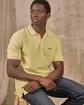 Polo Collin vert