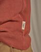 Pull Daniel rose