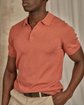 Polo Dayton rose Polo Dayton rose