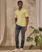Polo Collin vert