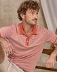 Polo Darvin orange