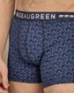 Boxer Adam