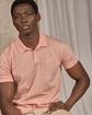 Polo Dollye rose Polo Dollye rose